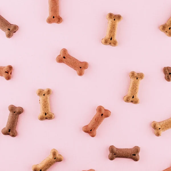 Durable Rubber Chew Bone — Pet Supplies at Peasley Store