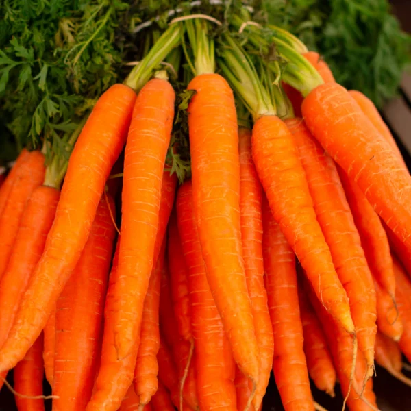 Rainbow Carrot Bunch — Fresh Produce at Peasley Store