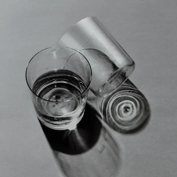 Stemless Wine Glasses (4) — Home & Kitchen at Peasley Store